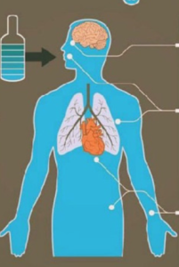 Токсическое действие метанола: лучевые и патоморфологические параллели