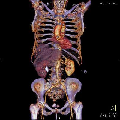 Поменяли сервер trauma.ru для профилактики