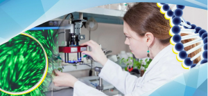 Роль биофизики в медицине