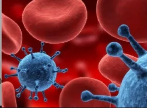 Диагностический лабиринт: случай поздней верификации полиорганного туберкулеза на фоне аутоиммунной гемолитической анемииУченые раскрыли механизм выживания туберкулеза
