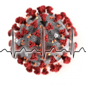 COVID-19 и сердечно-сосудистая система. Часть 1 Патофизиология, патоморфология, осложнения, долгосрочный прогноз