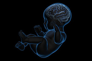 Рентген грудной клетки новорожденных